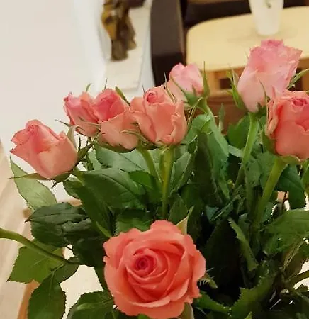 게스트하우스 Pod Stodola 크라쿠프