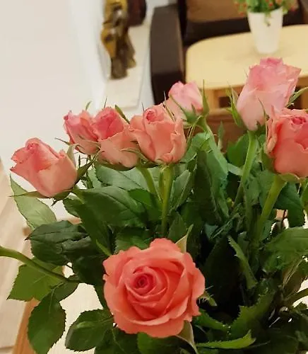 Vendégház Pod Stodola Krakkó